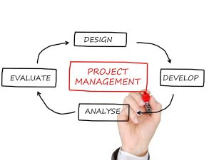 Descubre las fases más importantes para la correcta gestión de proyectos empresariales